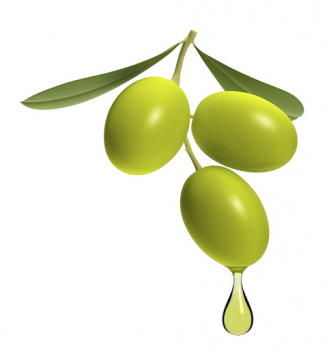 Sua Magnificenza, l’olio extravergine di oliva