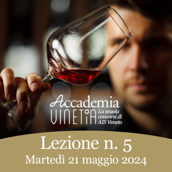 Accademia Vinetia 5° lezione
