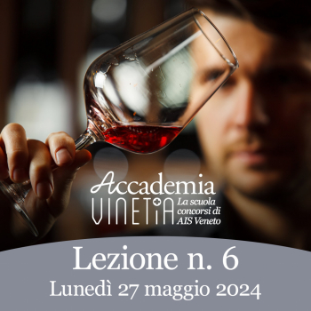 Accademia Vinetia 6° lezione