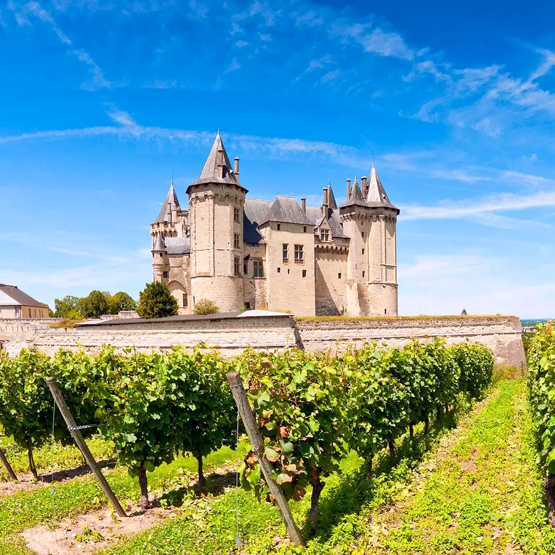 La Loira, terra di castelli e vini