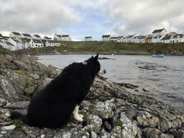 The sound of Islay – part two