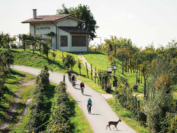 Prosecco Cycling in partenza con AIS Veneto