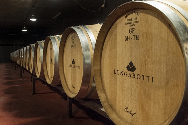 Umbria, viaggio nella terra millenaria del vino